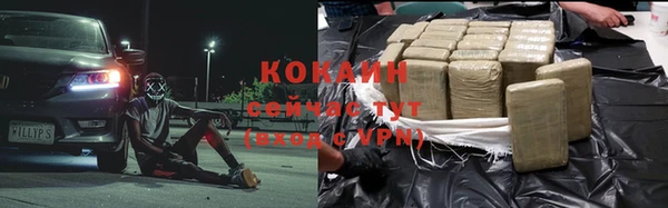 шишки Ветлуга
