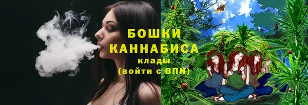 ПСИЛОЦИБИНОВЫЕ ГРИБЫ Куйбышев