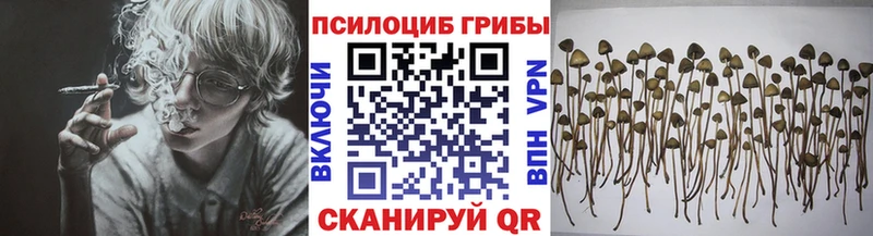 Псилоцибиновые грибы Cubensis Любим